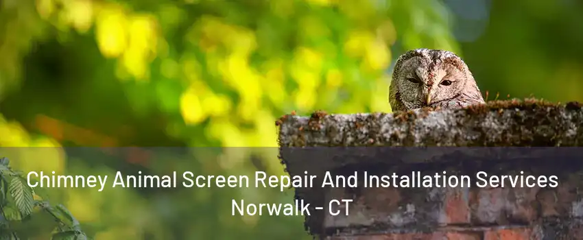 Chimney Animal Screen Repair And Installation Services Norwalk - CT