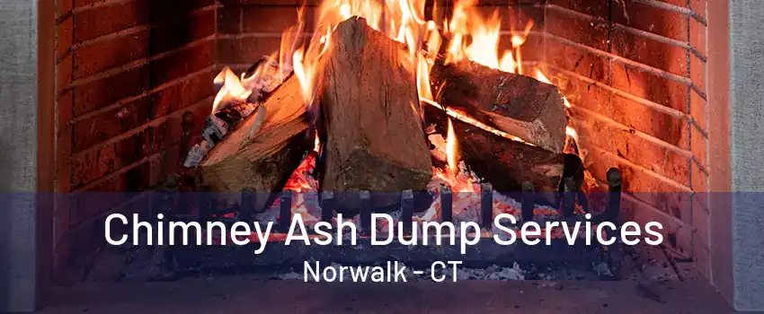 Chimney Ash Dump Services Norwalk - CT