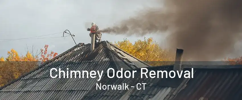 Chimney Odor Removal Norwalk - CT