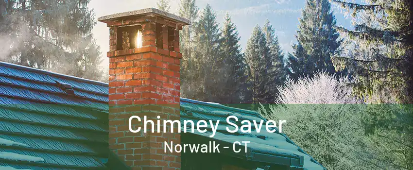 Chimney Saver Norwalk - CT