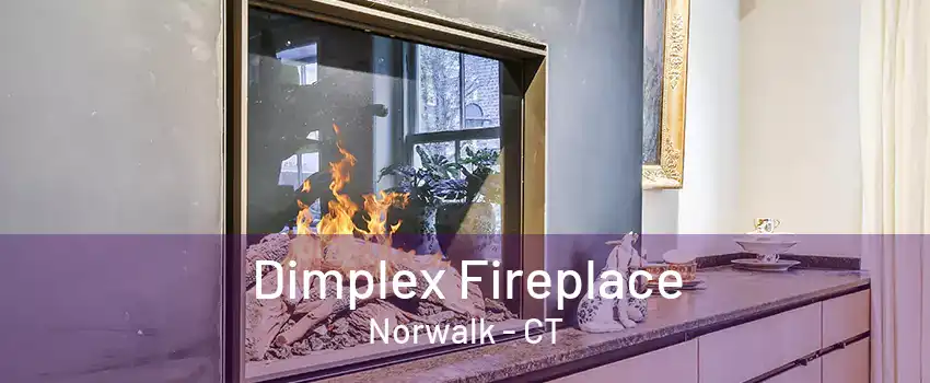 Dimplex Fireplace Norwalk - CT