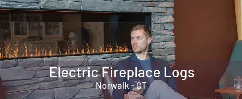 Electric Fireplace Logs Norwalk - CT