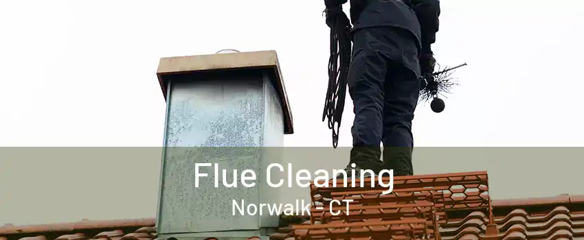 Flue Cleaning Norwalk - CT