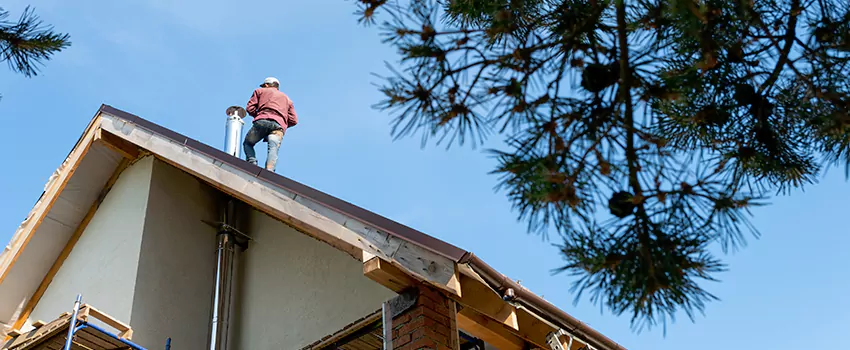 Birds Removal Contractors from Chimney in Norwalk, CT