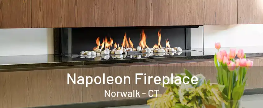 Napoleon Fireplace Norwalk - CT