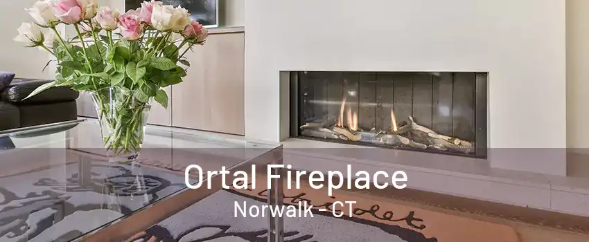 Ortal Fireplace Norwalk - CT