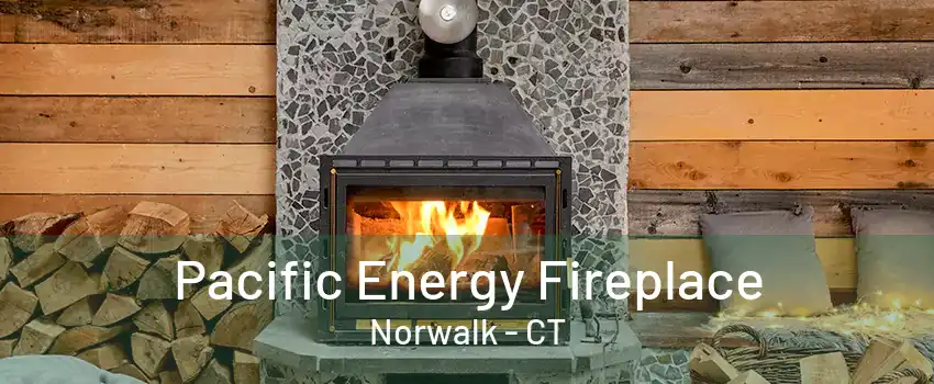 Pacific Energy Fireplace Norwalk - CT