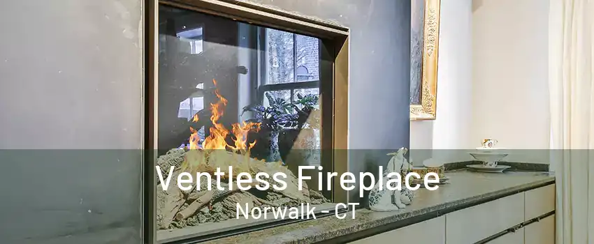 Ventless Fireplace Norwalk - CT